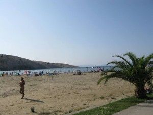 objects/1490/103340_ante 37.jpg